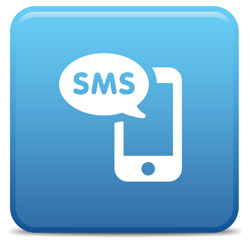 sms marketing and mobile websites