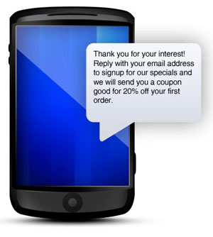 using text messaging to capture email address for opt-in marketing